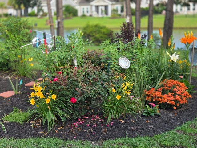 237 Saint Davids Ave., Myrtle Beach, SC 29588