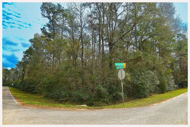 7318 Burr Oak Trace, Magnolia, TX 77354