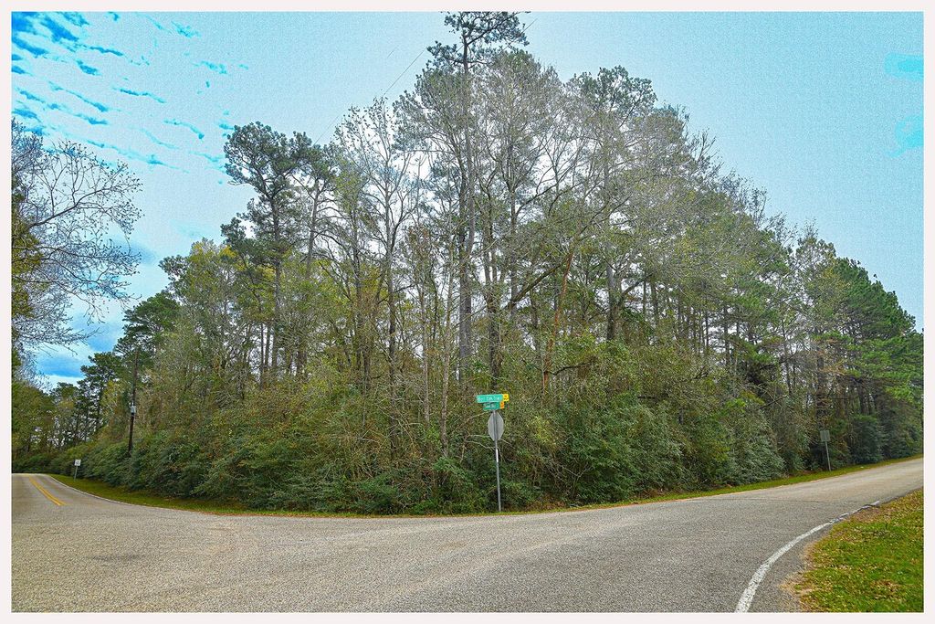 7318 Burr Oak Trace, Magnolia, TX 77354