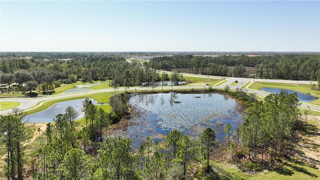 1147 JAMES PAUL ROAD, Davenport, FL 33837