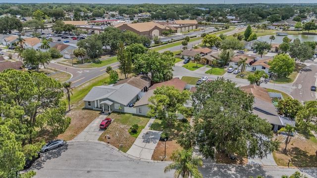 11005 UNDERWOOD PLACE, Tampa, FL 33624