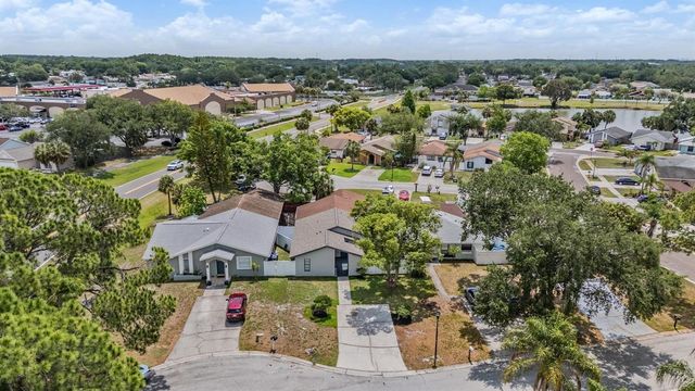 11005 UNDERWOOD PLACE, Tampa, FL 33624