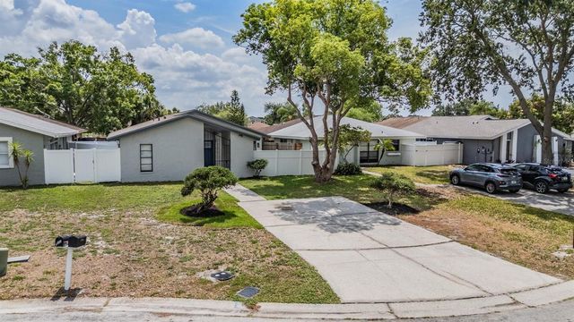 11005 UNDERWOOD PLACE, Tampa, FL 33624