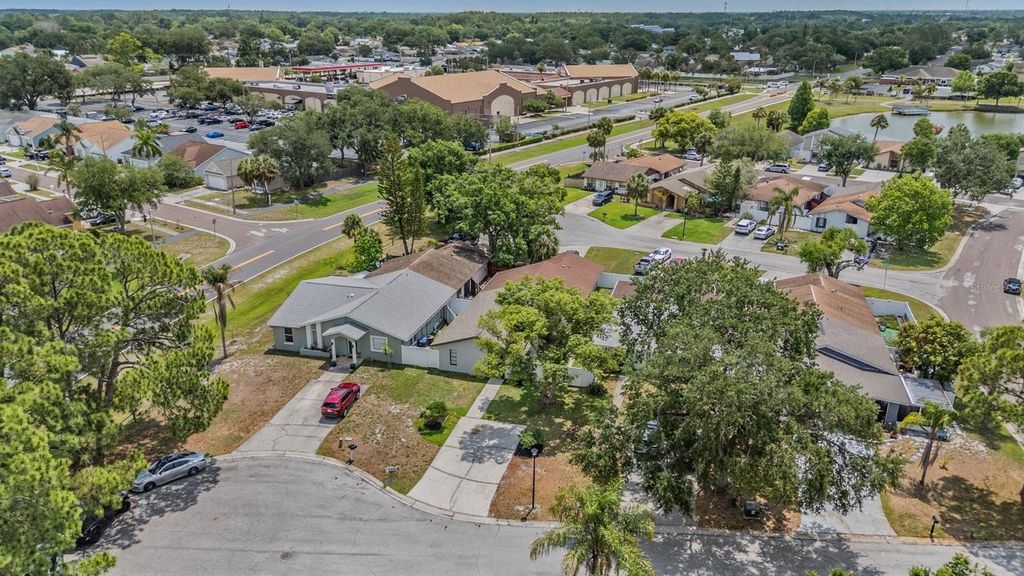 Image 41 of property listing at 11005 UNDERWOOD PLACE, Tampa, FL 33624