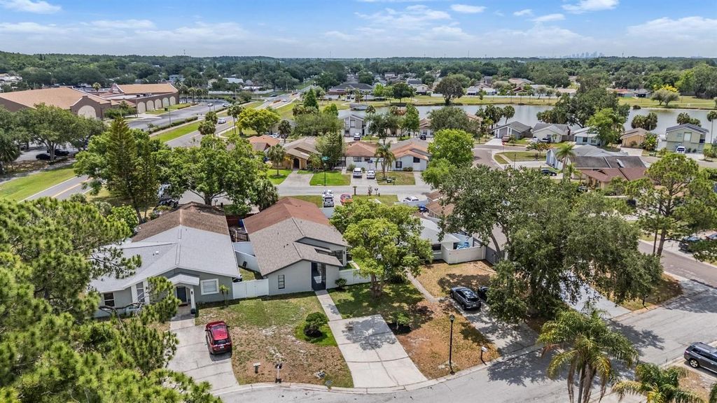 Image 43 of property listing at 11005 UNDERWOOD PLACE, Tampa, FL 33624