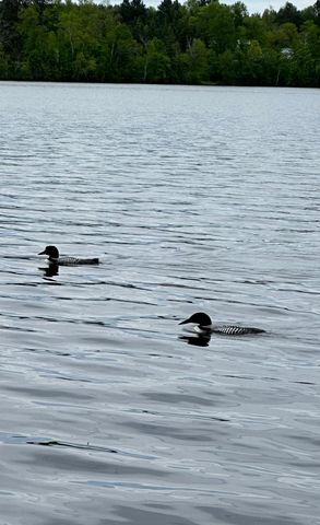 5913 Little Cloquet Road, Cromwell, MN 55726