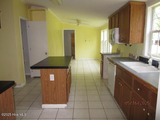 371 Eneas Lanier Road, Chinquapin, NC 28521