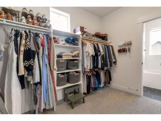 1997 Orchard Bloom Dr, Windsor, CO 80550