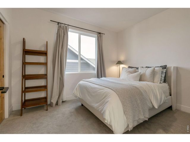 1997 Orchard Bloom Dr, Windsor, CO 80550