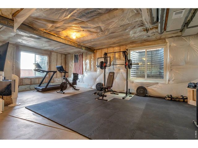 1997 Orchard Bloom Dr, Windsor, CO 80550