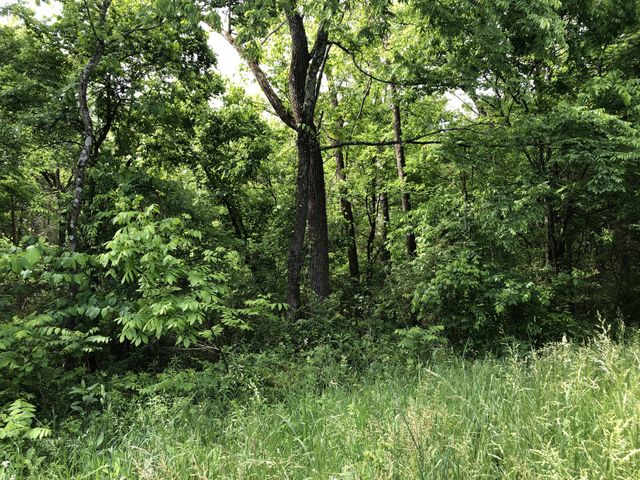 0 Blue Springs Rd, Decherd, TN 37324