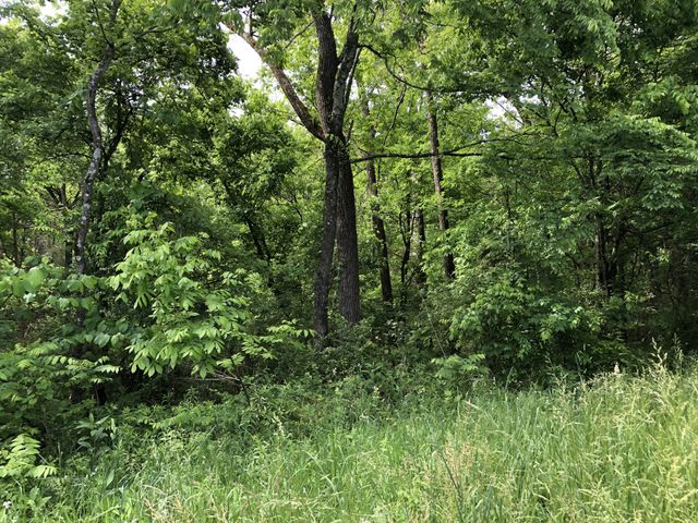 0 Blue Springs Rd, Decherd, TN 37324