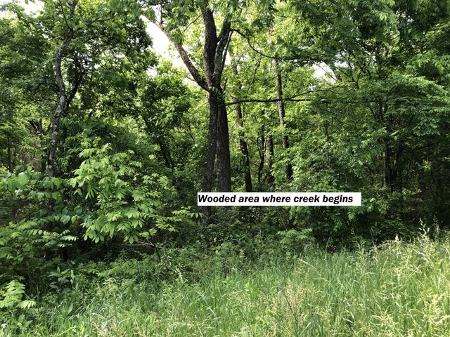 0 Blue Springs Rd, Decherd, TN 37324