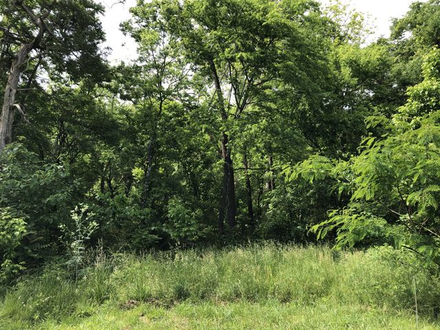 0 Blue Springs Rd, Decherd, TN 37324