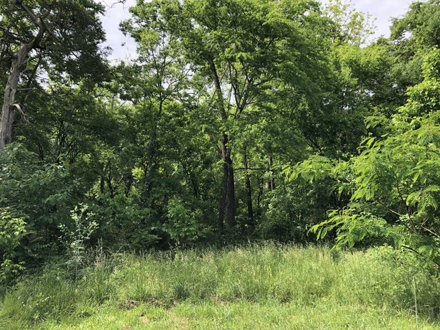 0 Blue Springs Rd, Decherd, TN 37324