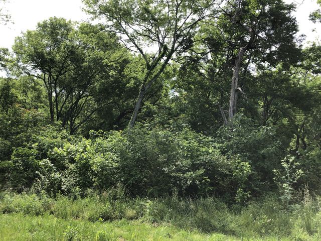 0 Blue Springs Rd, Decherd, TN 37324