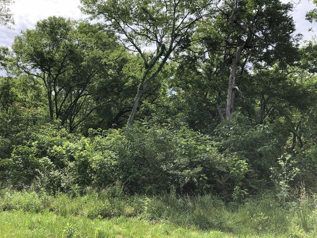 0 Blue Springs Rd, Decherd, TN 37324