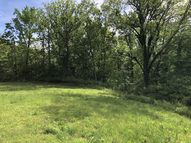 0 Blue Springs Rd, Decherd, TN 37324