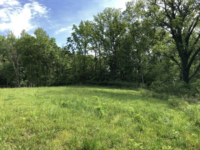 0 Blue Springs Rd, Decherd, TN 37324