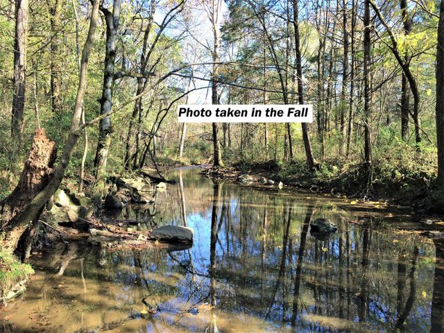 0 Blue Springs Rd, Decherd, TN 37324