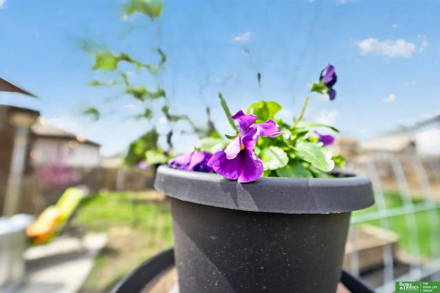 6814 Maple Street, Omaha, NE 68104