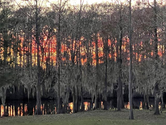 81 Pine Meadow, Cleveland, TX 77327