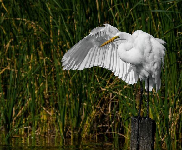 81 Pine Meadow, Cleveland, TX 77327