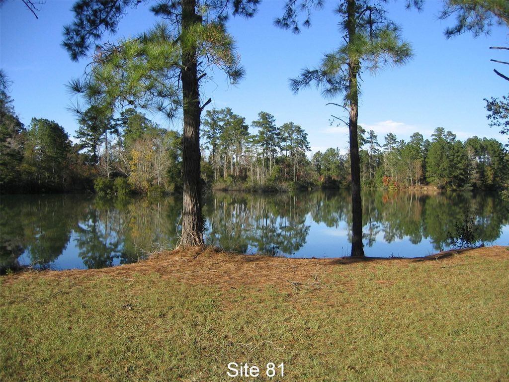 81 Pine Meadow, Cleveland, TX 77327