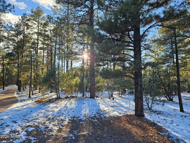 3321 W MARIPOSA Lane, Show Low, AZ 85901