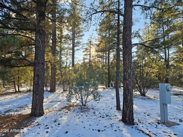 3321 W MARIPOSA Lane, Show Low, AZ 85901