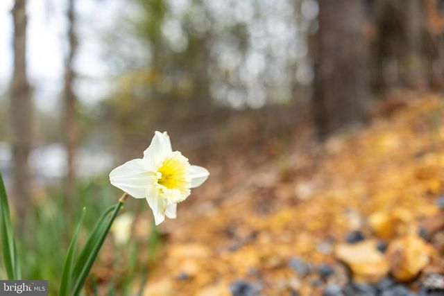 1034 GREENVIEW, Basye, VA 22810