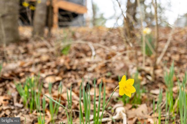 1034 GREENVIEW, Basye, VA 22810