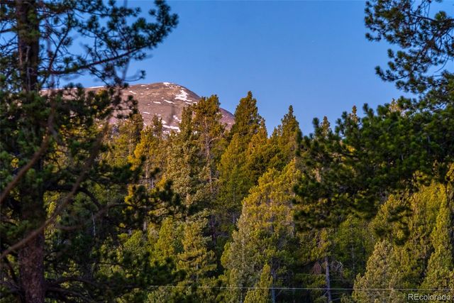 1305 Lakeside Drive, Fairplay, CO 80440