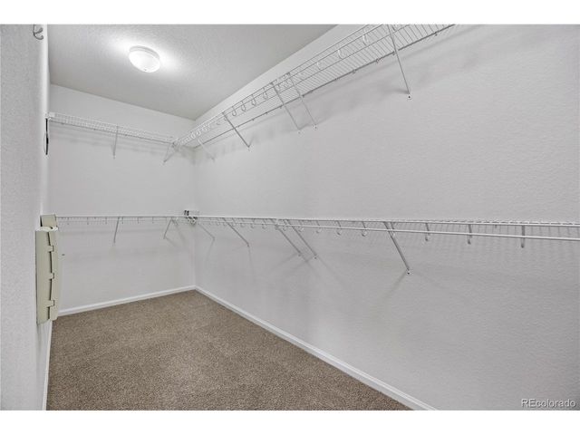 3954 Blue Pine Cir, Highlands Ranch, CO 80126