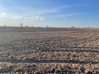 0 Orange Hill Rd Road, Sealy, TX 77474