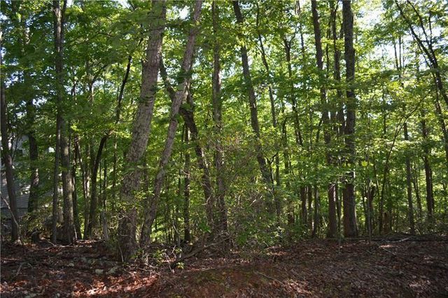 1150 Swallow Point, Big Canoe, GA 30143