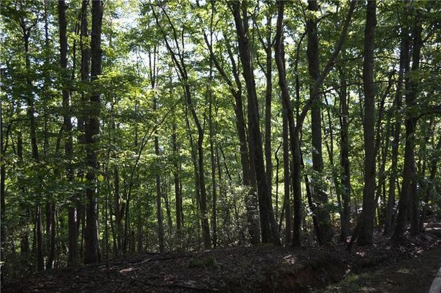 1150 Swallow Point, Big Canoe, GA 30143