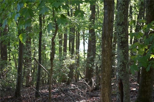 1150 Swallow Point, Big Canoe, GA 30143