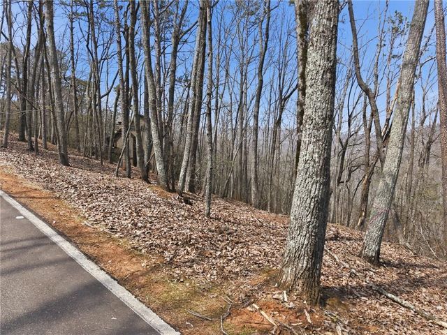 1150 Swallow Point, Big Canoe, GA 30143