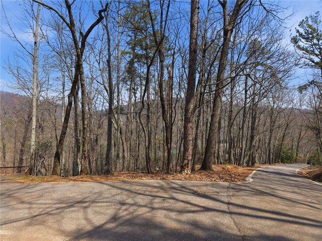 1150 Swallow Point, Big Canoe, GA 30143