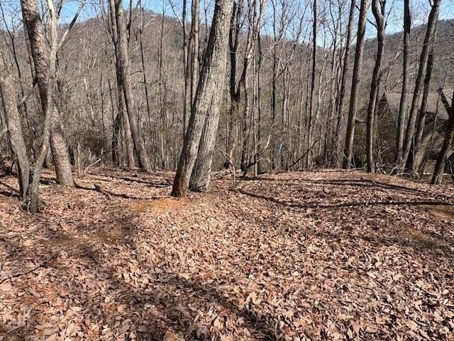 1150 Swallow Point, Big Canoe, GA 30143