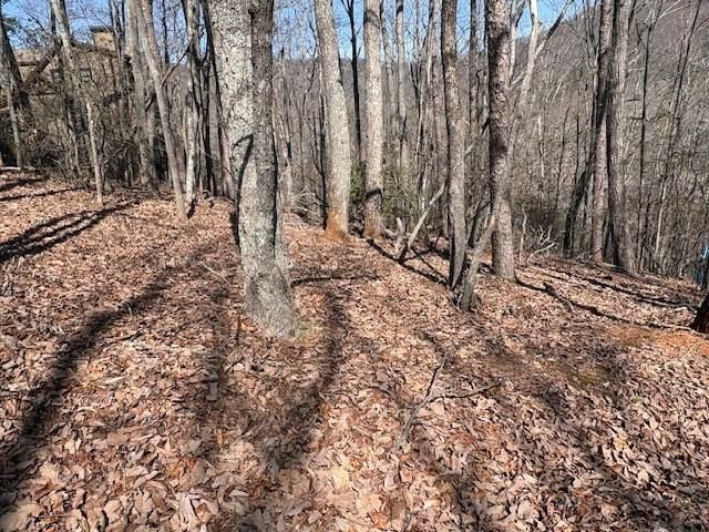 1150 Swallow Point, Big Canoe, GA 30143