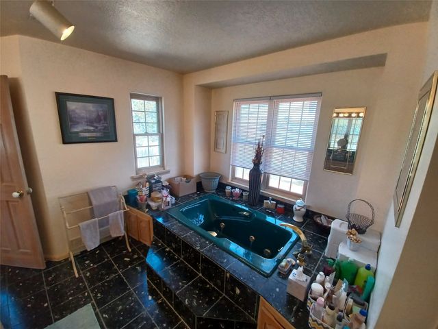 19 County Road 60A, Velarde, NM 87582