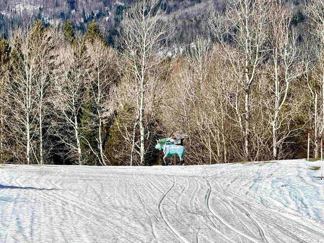 881 South Hill Road, Stewartstown, NH 03576