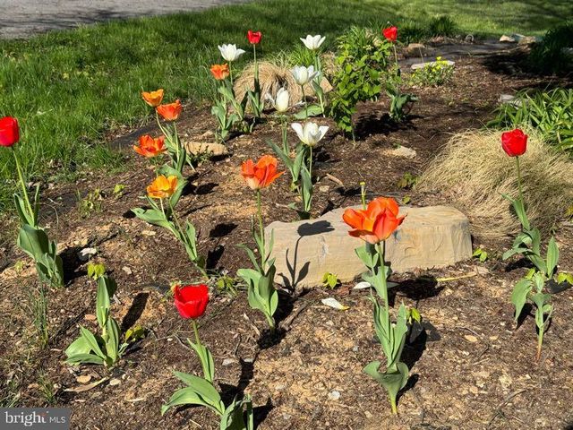 507 FIRST AVE, Lemont, PA 16851