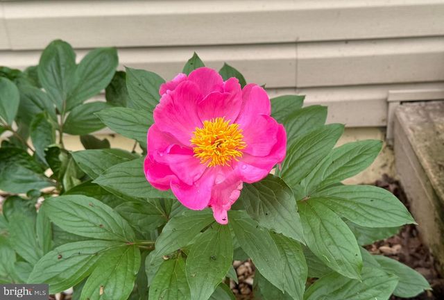 507 FIRST AVE, Lemont, PA 16851