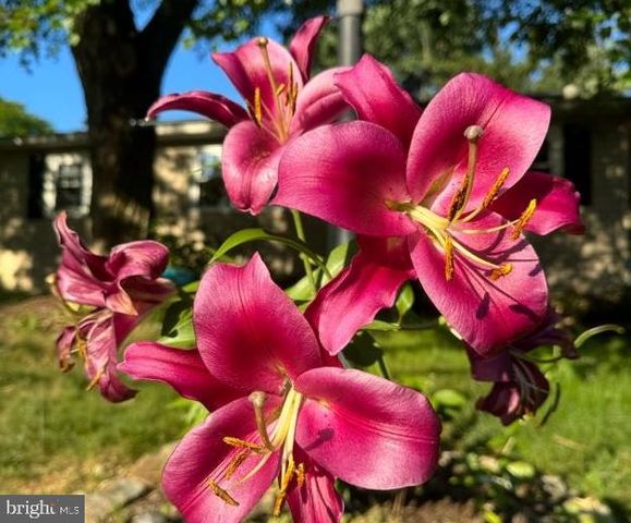 507 FIRST AVE, Lemont, PA 16851