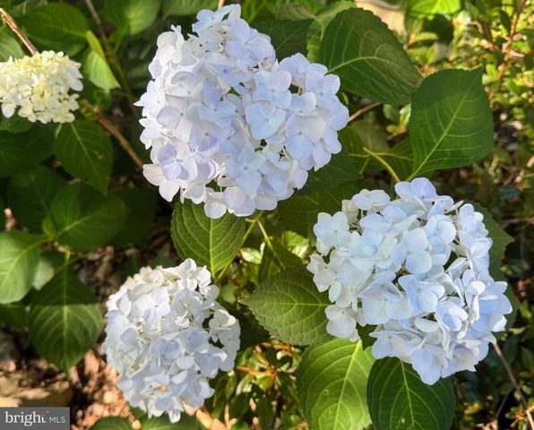 507 FIRST AVE, Lemont, PA 16851