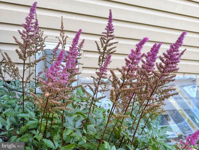 507 FIRST AVE, Lemont, PA 16851