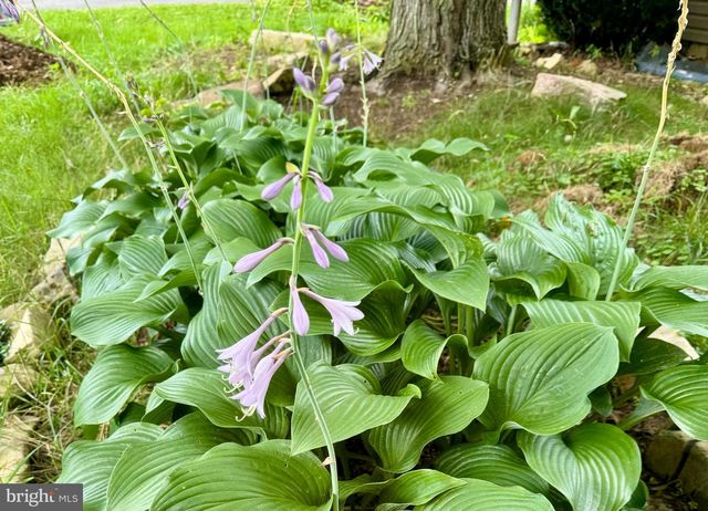 507 FIRST AVE, Lemont, PA 16851